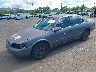 JT2BG22K5W0****** Used and Repairable 1998 Toyota Camry in Honolulu