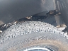 3TYJDAHN0RT****** Used 2024 Toyota Tacoma in Colorado State