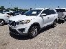 5XYPG4A38JG****** Usados y Reparables 2018 Kia Sorento en Houston