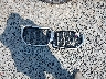 5UX33EU0XT9****** Wrecked 2026 BMW X5 in Washington State