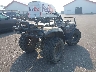 JKAVFEB152B****** Salvage and Wrecked 2002 Kawasaki Prairie 650 in Minnesota State