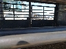 5WWGP242XL6****** Used and Repairable 2020 Delco Trailers Horse Trailer in Texas State