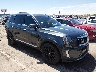 5XYP5DHC6MG****** Repairable 2021 Kia Telluride in Texas State