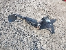 3C6RR7LT7GG****** Destrozados 2016 RAM 1500 en Estado de Wisconsin