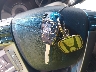 5FNRL5H64BB****** Salvamento 2011 Honda Odyssey en Estado de Texas