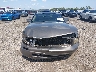 1ZVFT80N355****** Used 2005 Ford Mustang in South Carolina State