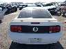 1ZVFT82H365****** Wrecked 2006 Ford Mustang