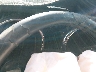 1ZVFT82H365****** Salvage 2006 Ford Mustang in El Paso