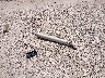 1GNDT13S422****** Wrecked 2002 Chevrolet Trailblazer in Texas State