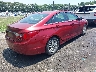 5NPEB4AC3DH****** Salvage and Wrecked 2013 Hyundai Sonata in North Carolina State