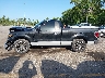 1FTMF1CMXDF****** Salvage 2013 Ford F-150