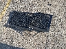 1FTMF1CMXDF****** Wrecked 2013 Ford F-150 in Florida State
