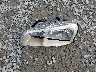 JT3GP10V2Y7****** Destrozados 2000 Toyota RAV4 en Estado de Washington