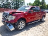 1FTFW1ET7DK****** Usados y Reparables 2013 Ford F-150 en Longview