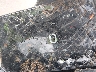 JYARN94E3SA****** Salvage 2025 Yamaha MT-09 in Rec Rides Online Exclusive
