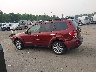 JF2SHADC7BH****** Salvage 2011 Subaru Forester