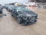 5NPLS4AG5PH****** Salvage and Wrecked 2023 Hyundai Elantra in Austin