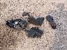 1GNALPEK1DZ****** Destrozados 2013 Chevrolet Equinox en Estado de Wisconsin