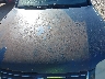 WVWVD63B02E****** Destrozados 2002 Volkswagen Passat en Estado de Kentucky