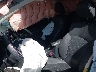 JF2SJAHC5EH****** Salvage and Wrecked 2014 Subaru Forester in Ace Carson