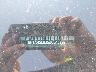 5N1AR2MM5EC****** Usados 2014 Nissan Pathfinder en Omaha South