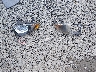 1G1JC52F057****** Wrecked 2005 Chevrolet Cavalier in West Virginia State