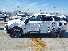 5XYK33DF5SG****** Usados 2025 Kia Sportage