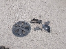 5YJ3E1EB4NF****** Reparables 2022 Tesla Model 3 en Provo