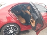 55SWF6EB3GU****** Destrozados 2016 Mercedes-Benz C-Class en Phoenix
