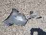 5GAKRBKD6HJ****** Destrozados 2017 Buick Enclave en Estado de Kansas