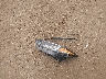 KM8J33A4XKU****** Wrecked 2019 Hyundai Tucson in Ohio State