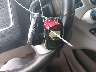 1GKS1HKC4FR****** Salvamento 2015 GMC Yukon XL en Estado de Texas