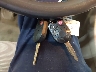 1FAHP2EW6BG****** Salvage 2011 Ford Taurus in Pennsylvania State