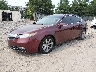 19UUA8F52CA****** Used and Repairable 2012 Acura TL in Southern New Jersey