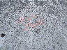 1GNDT13W7WK****** Reparables 1998 Chevrolet Blazer en Louisville North