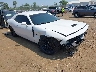 2C3CDZBT7LH****** Salvamento y Destrozados 2020 Dodge Challenger en Cincinnati