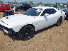 2C3CDZBT7LH****** Usados y Reparables 2020 Dodge Challenger en Cincinnati