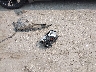 3CZRU6H38LG****** Wrecked 2020 Honda HR-V in Maryland State