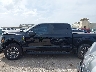 1FTEW2KP8RK****** Salvage 2024 Ford F-150