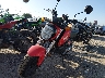 MLHJC9217P5****** Usados y Reparables 2023 Honda Grom en Wichita