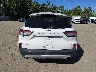 1FMCU9G61NU****** Wrecked 2022 Ford Escape