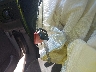 1FTZX1766WN****** Salvage 1998 Ford F-150 in Texas State