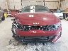 5XXG64J29RG****** Salvage and Repairable 2024 Kia K5 in North Carolina State
