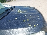 1FMCU0G98GU****** Destrozados 2016 Ford Escape en Estado de Wisconsin