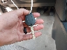 JN8AS5MV5CW****** Salvamento 2012 Nissan Rogue en Estado de Maryland