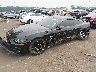 1FA6P8CF7K5****** Used and Repairable 2019 Ford Mustang in Englishtown
