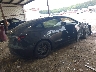 5YJ3E1EA6SF****** Salvage and Wrecked 2025 Tesla Model 3 in Georgia State