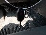3TYCZ5AN6MT****** Salvamento 2021 Toyota Tacoma en Estado de Nueva Jersey