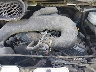 1FTYR2CM6KK****** Repairable 2019 Ford Transit-250 in Taunton