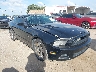 1ZVBP8CF0D5****** Salvamento y Destrozados 2013 Ford Mustang en Tampa